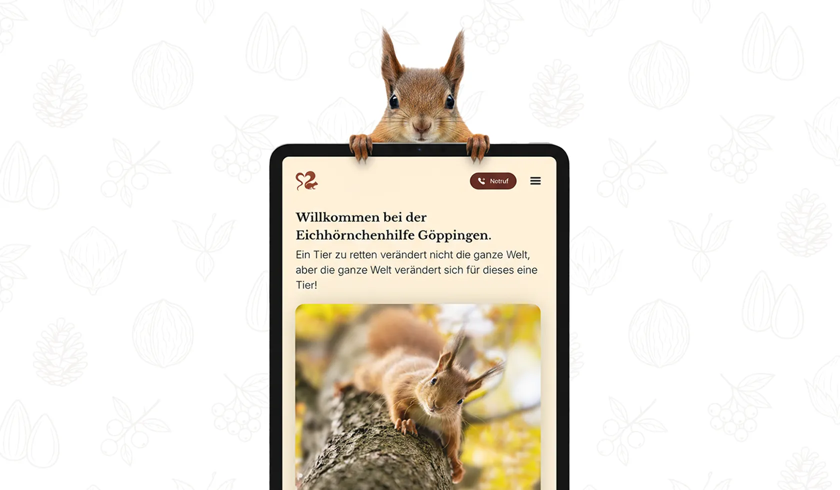 Filstal Eichhörnchenhilfe Projekt Header-Bild